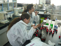 西町インターナショナルスクール教育支援プログラム１