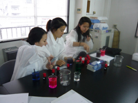 聖心インターナショナルスクール職場体験7